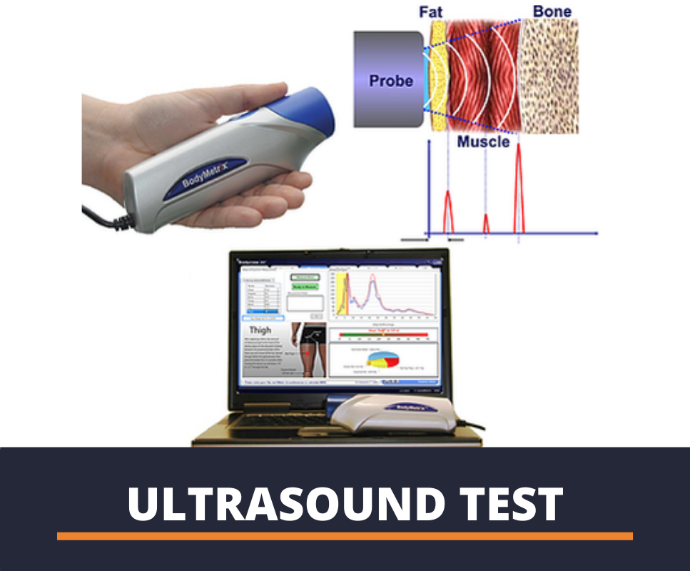 ultrasound body composition assessment